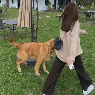 算计:7日死亡游戏